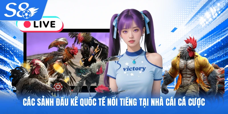 Các sảnh đấu kê quốc tế nổi tiếng tại nhà cái cá cược