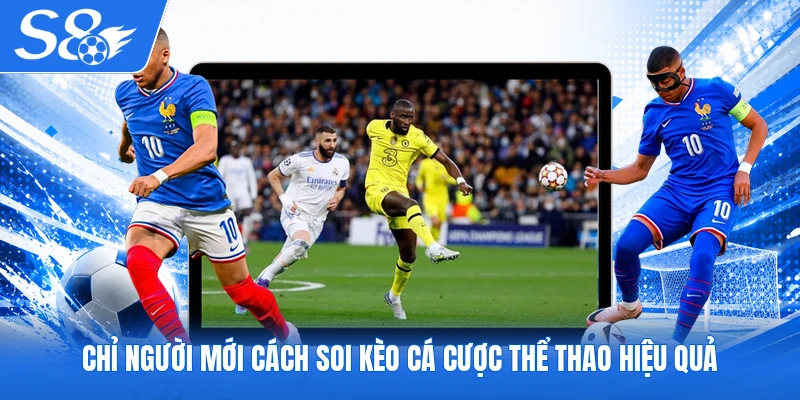 Chỉ người mới cách soi kèo cá cược thể thao hiệu quả