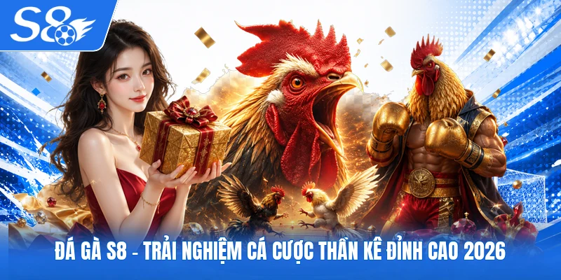 Đá gà S8